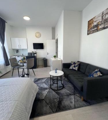 Spacious studio 10 mins to Metro 1 min to the bus