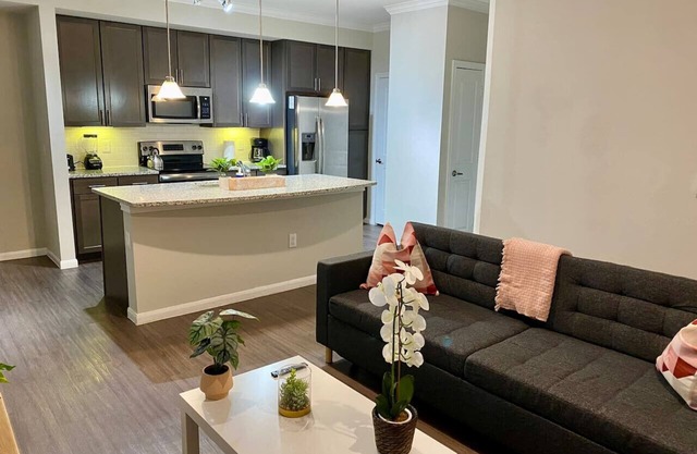 Spring Modern 2B2B king Fully equipped Long term