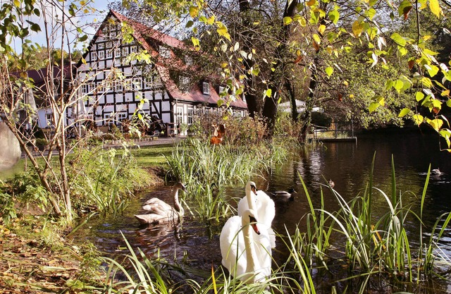 Springbach-Mühle Belzig