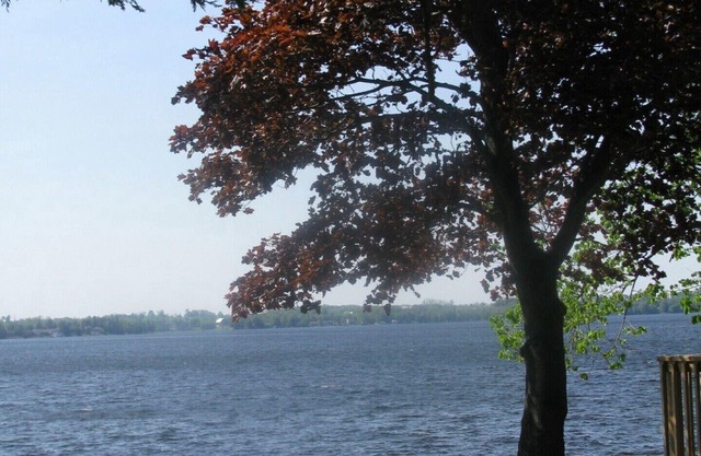 Spruce Cottage at Shiloh Cottages - Fenelon Falls