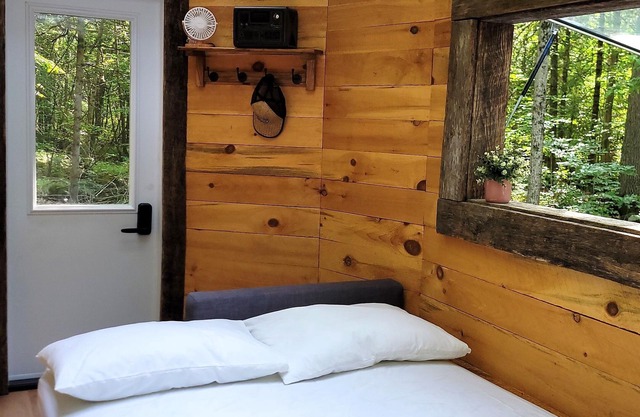 Stargazing Cabin with River Access