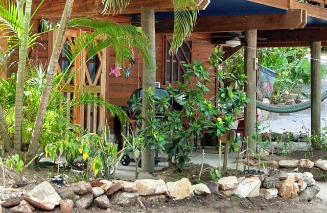 Stay & Dive or Snorkel! Rustic, beach side apartment, steps from the waters edge