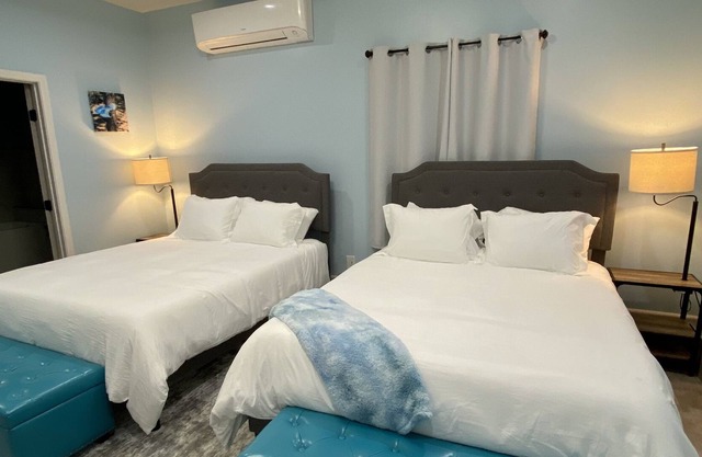 Stellar Jay Suite