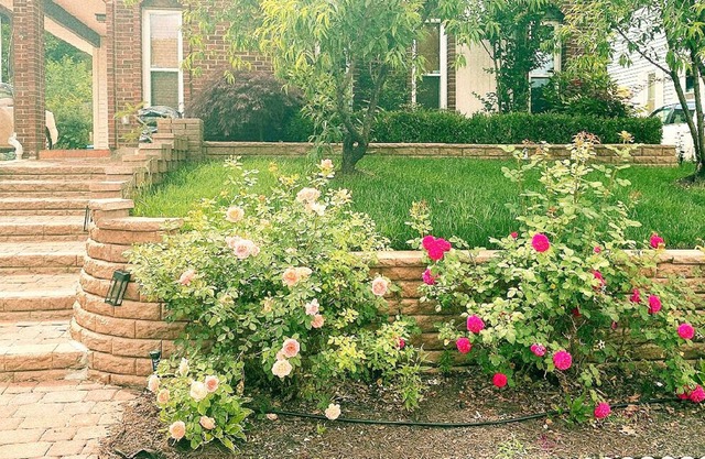 Sterling 4BR- Sleep 8 Private backyard 10 Min to IAD.