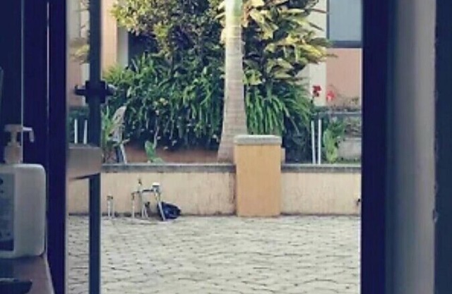 Stod Villas Namugongo Sonde Kampala H