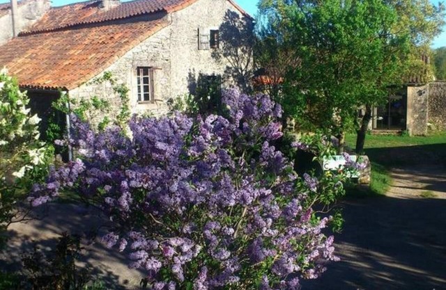 Stone house in the heart of Larzac – Nature, free-roaming horses, and guaranteed relaxation