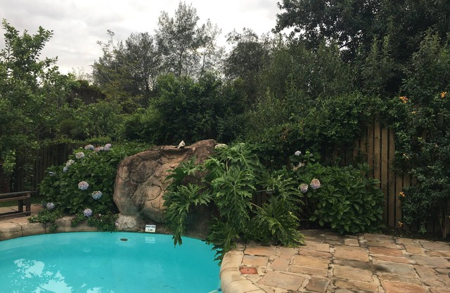 Storms River Guest Lodge