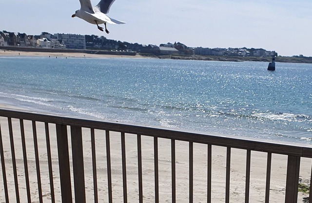 Studette (18m 2) 20 m from Quiberon's main beach