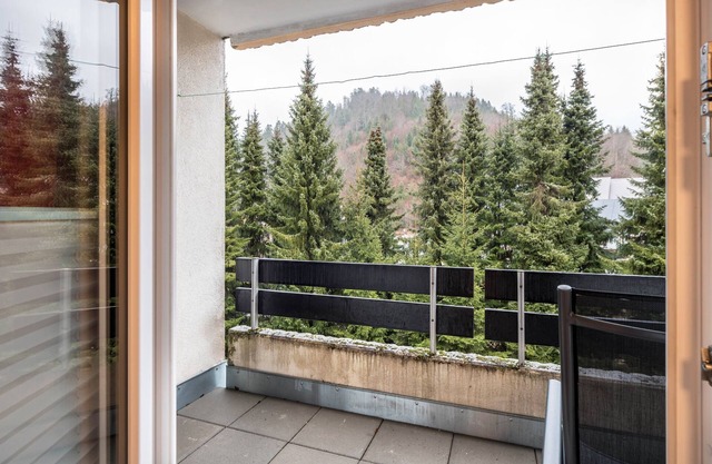 Studio Apartment 'Ferienwohnung mit Charme II' with Private Terrace, Balcony and Wi-Fi