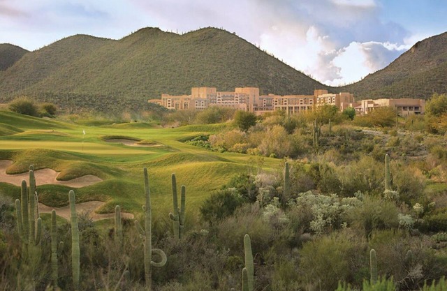 Studio Bedroom in Starr Pass Golf Resort!