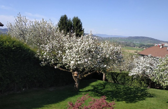 Studio "Enchanted Nature" for nature lovers and close to Annecy