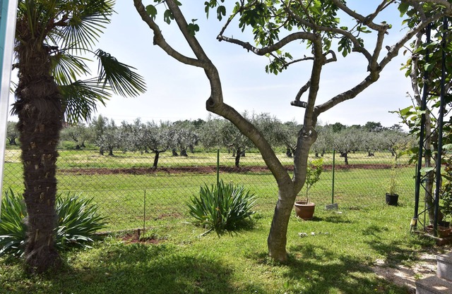 Studio flat Sveti Ivan, Umag (AS-22472-a)