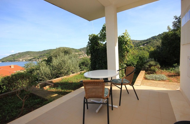 Studio flat with terrace and sea view Vis (AS-2470-b)