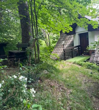 Studio Gościnne ANTEK