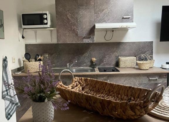 Studio magnifique cocooning plein centre ville