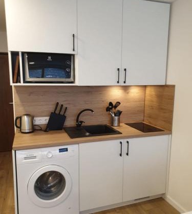 Studio rent in Zarasai