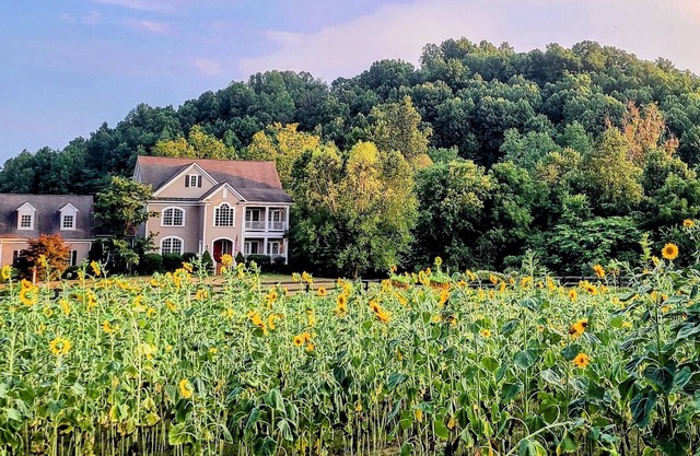 Studio with mountain views and private entrance near wineries and hiking
