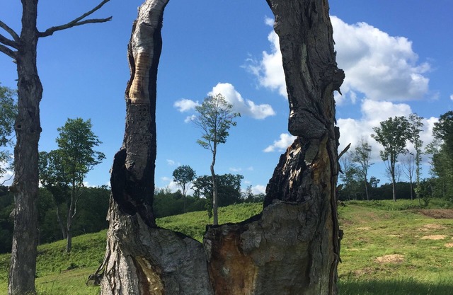 Stunning views on 545 acres at end of dirt road