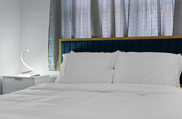 Stylish and Cozy in Saint Louis - Pets Allowed