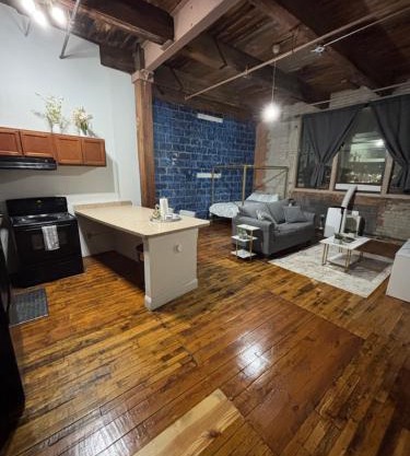 Stylish Loft Near Downtown Detroit