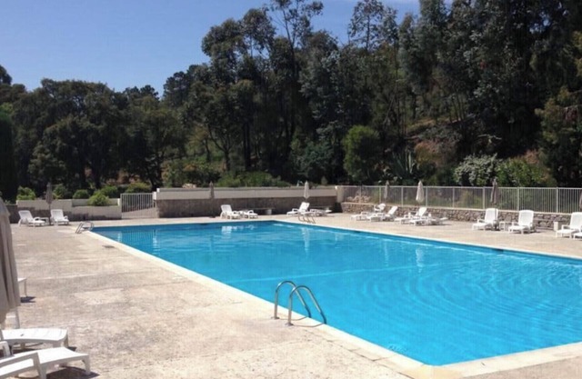 Sublime studio with large terrace and pool