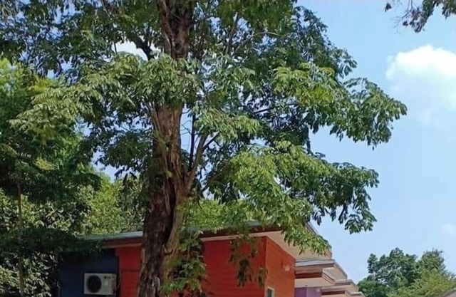 Sudachat Resort