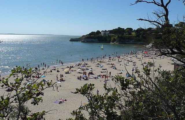 Suite with garden 10 km from Royan beach / Discount on stays of 7 nights
