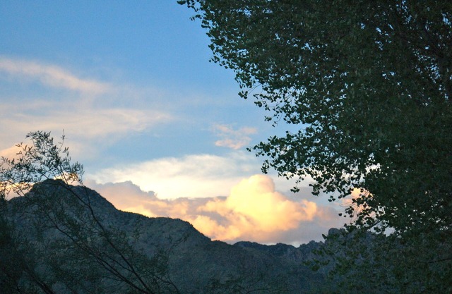 SUMMER DISCOUNT for Sonoran Harmony
