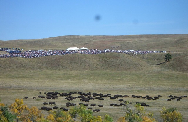 Sundance Wyoming Bunkhouse