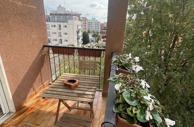 Sunny Comfy Apartment