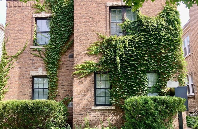 Sunny Evanston Studio: Stylish Decor, Hardwood Floors, Fenced Yard & Parking