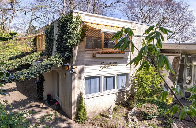 Sunny Quiet Apartment on Dune, Bloemendaal, Amsterdam (20Min) and Sea (5min)