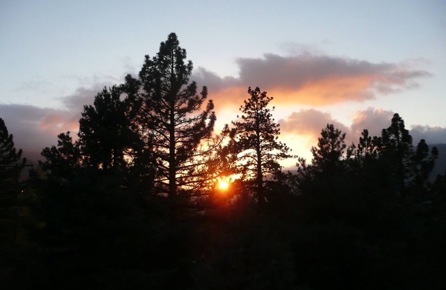 Sunset View at Pine Mountain Club–Stunning Views, Modern Comforts & Dog-Friendly