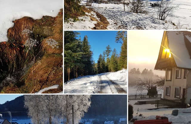Sunshine - the power of nature and the sauna