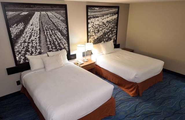 Super 8 by Wyndham Hampshire IL