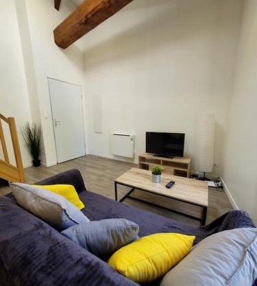 Superbe appartement rénové - Lyon-Groupama stadium