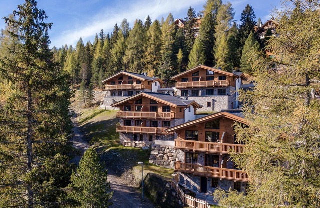 Superior Chalet With Sauna