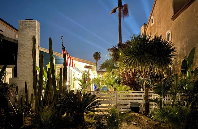 Surf City Beach Cottages. Steps to the ocean.🛖🏝️🐶