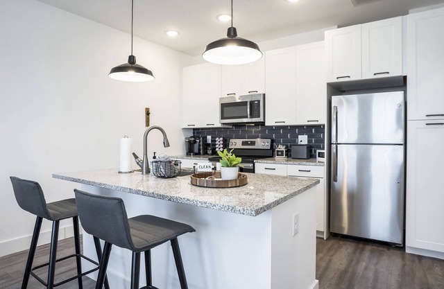Swanky Atlanta Apartment-located in the heart of the city!
