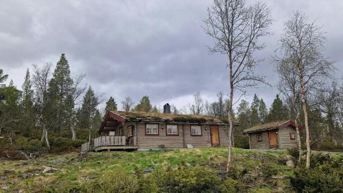Tømmerhytte Med Utsikt Nær Røros