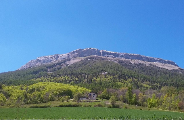 T2 44 m2 - In the heart of nature with exceptional view