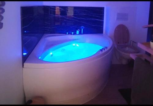 T2 balnéothérapie, jardin, parking, tram, boulodrome