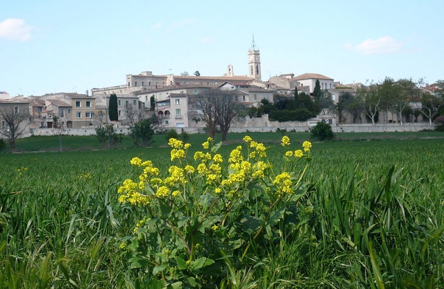 T2 in the countryside in a village near the coast