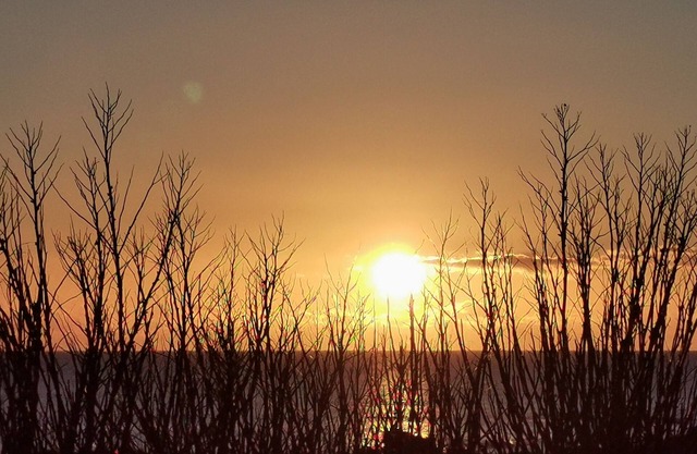 T3 - Ocean view, waterfront, garden and sea-view terrace, free parking.