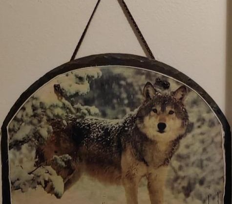 Talo Kainuun korvessa Kiekinkoskella