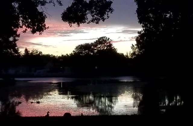TAMPA VACATION HOME CLOSE TO EVERYTHING!