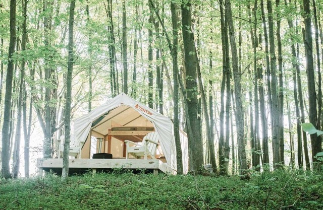 Tentrr Signature Site - Hollow Tree Camp - Coleman Outfitted Site