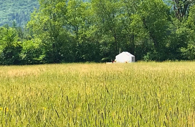 Tentrr Signature Site - Lone Mountain Farm Camping