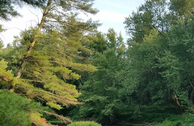 Tentrr Signature Site - Souhegan Serenade