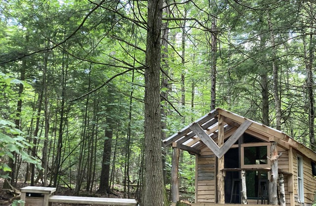 Tentrr Signature Site - Ohana Roots Camp at Sandy Pond, Forest Hideaway Site